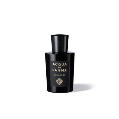 ADP SIG OUD & SPICE EDP 100ML
