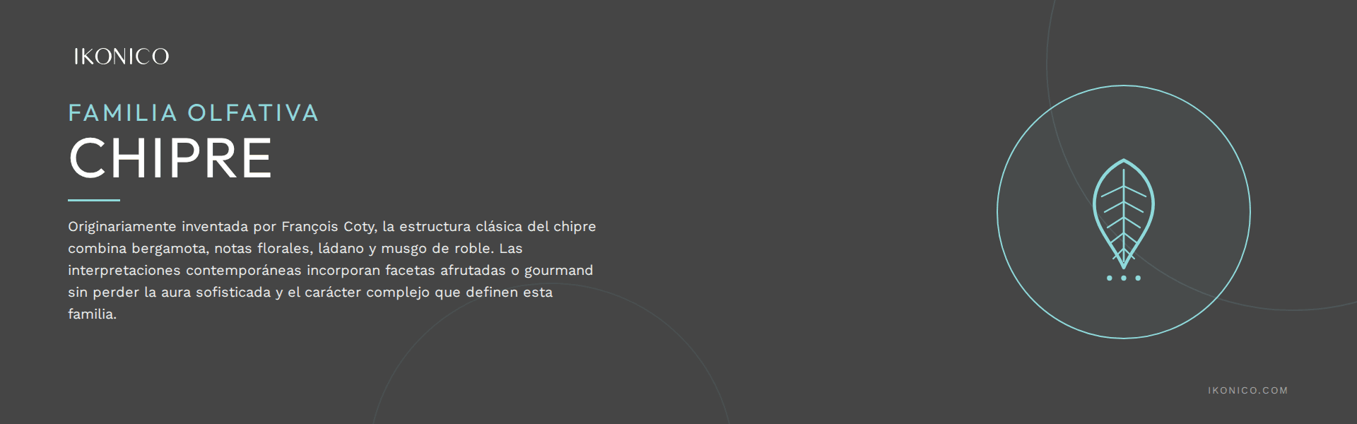 Ikonico Banner Chipre
