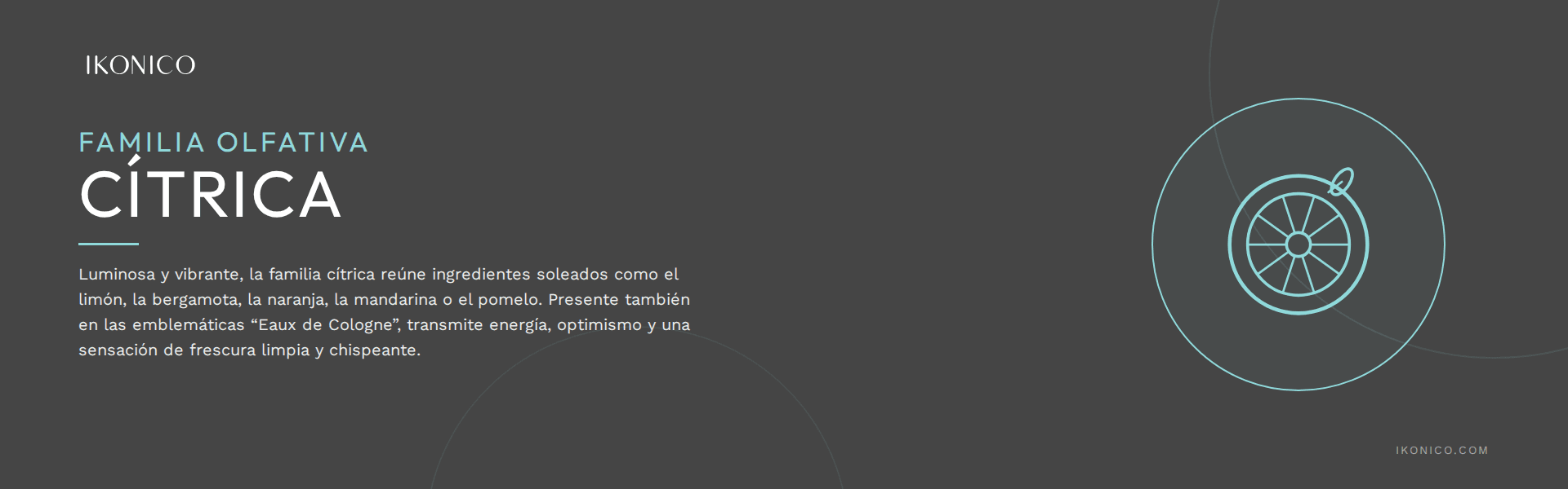 Ikonico Banner Citrica